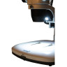 Микроскоп LEVENHUK ZOOM 1B, бинокулярный 76056